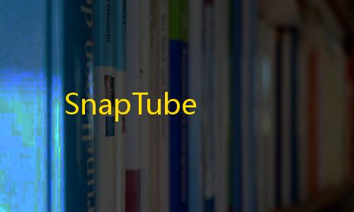 第五人格科技辅助网站SnapTube